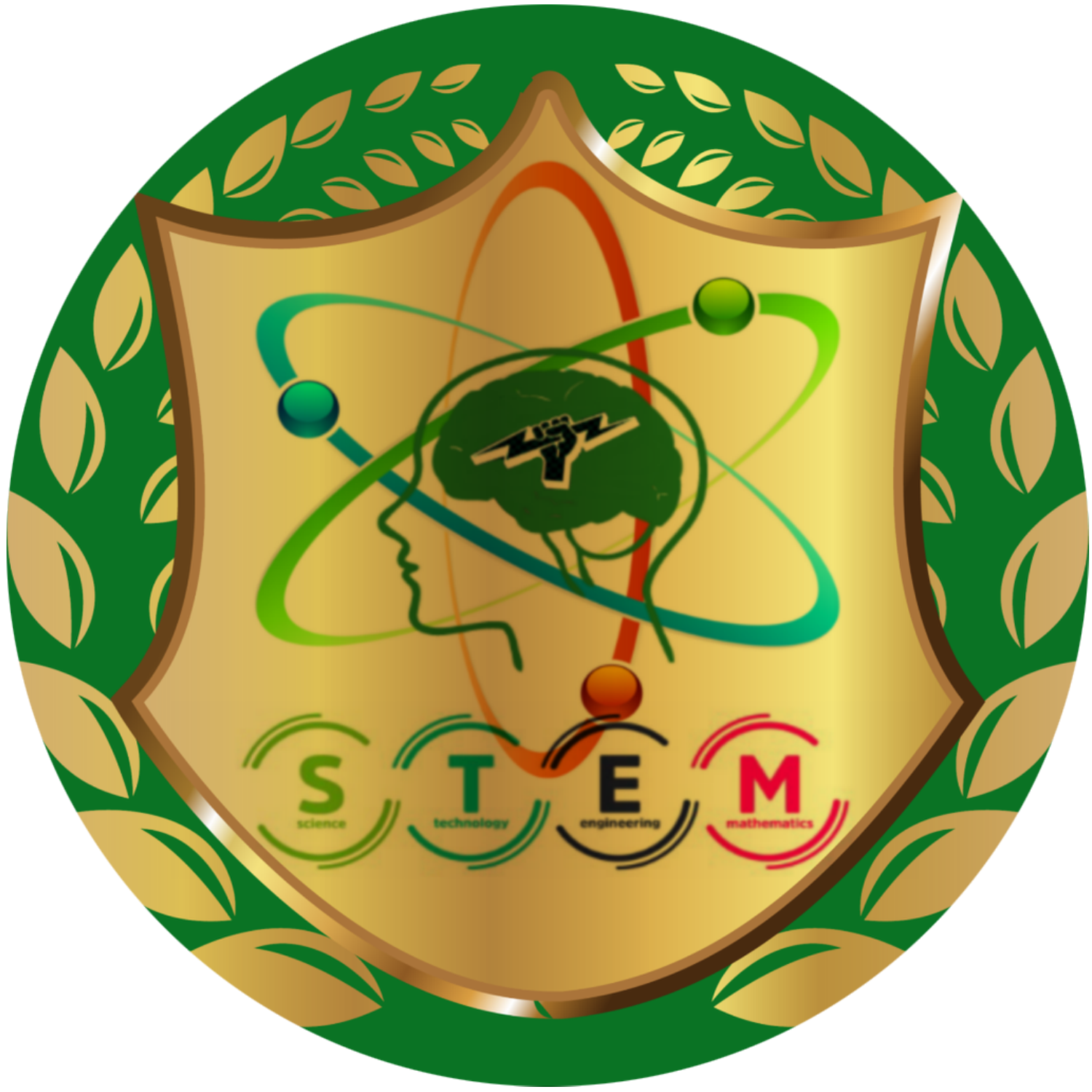 stem logo